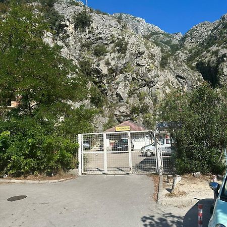 Kotor Old Town Palace Bucha 外观 照片